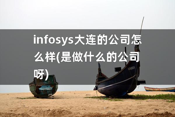 infosys大连的公司怎么样(是做什么的公司呀)