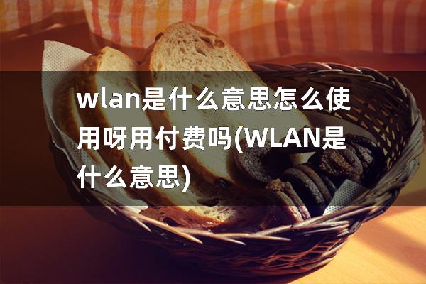 wlan是什么意思怎么使用呀用付费吗(WLAN是什么意思)