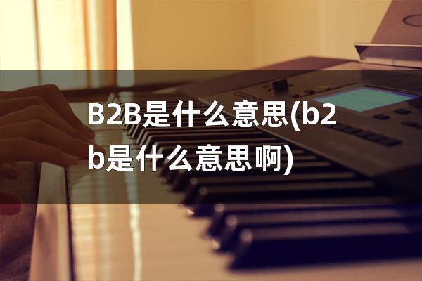 B2B是什么意思(b2b是什么意思啊)