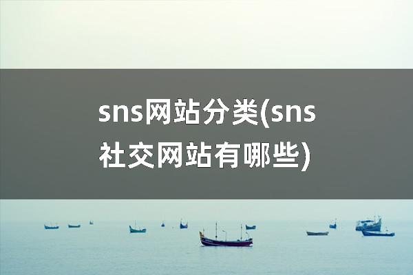sns网站分类(sns社交网站有哪些)