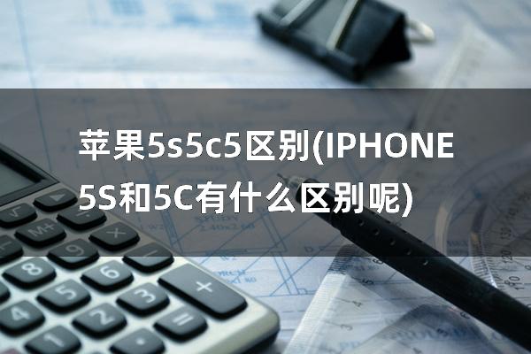 苹果5s 5c 5区别(IPHONE5S和5C有什么区别呢)