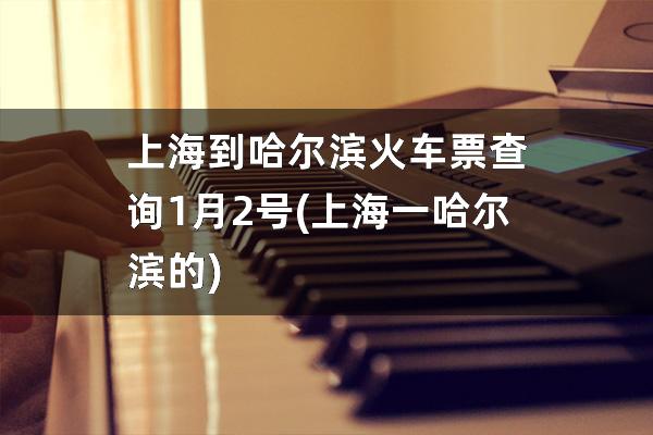 上海到哈尔滨火车票查询1月2号(上海一哈尔滨的)