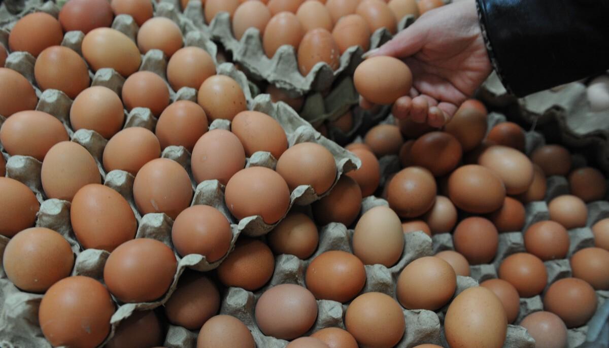2022年4月8日山东鸡蛋价格(山东今日鸡蛋批发价格表)