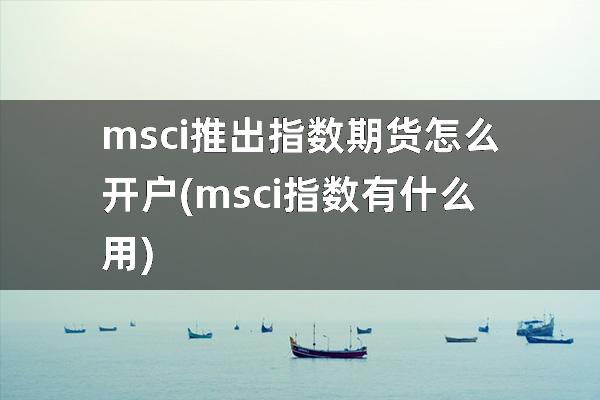 msci推出指数期货怎么开户(msci指数有什么用)