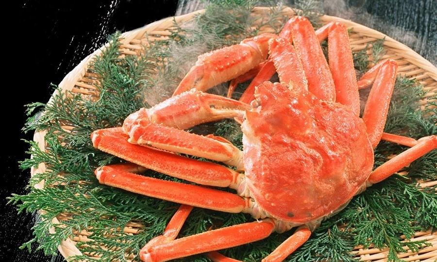 日本开渔拍出一只500万日元的雪蟹(日本螃蟹多少钱一只)