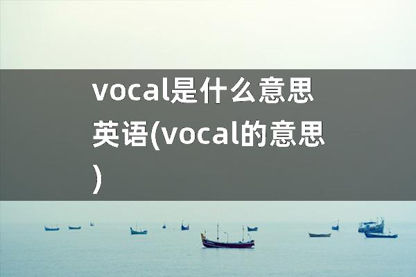 vocal是什么意思英语(vocal的意思)