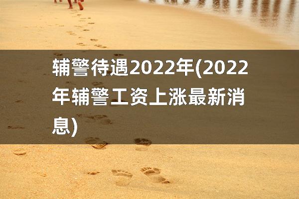 辅警待遇2022年(2022年辅警工资上涨最新消息)