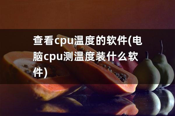 查看cpu温度的软件(电脑cpu测温度装什么软件)