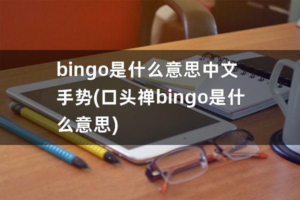 bingo是什么意思中文 手势(口头禅bingo是什么意思)