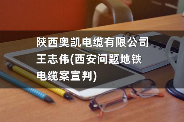 陕西奥凯电缆有限公司王志伟(西安问题地铁电缆案宣判)