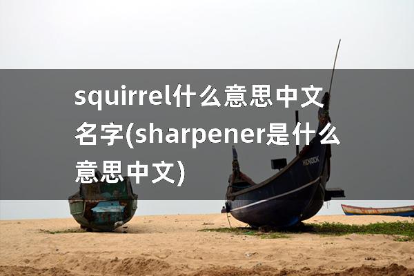 squirrel什么意思中文名字(sharpener是什么意思中文)