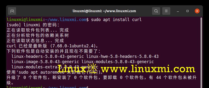如何在linux下载软件(linux下载软件命令)