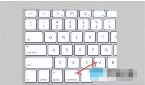 苹果电脑怎么复制粘贴(苹果笔记本复制粘贴的快捷键是什么)
