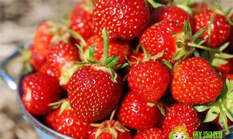 11月份的草莓是反季节水果吗(冬天的草莓是不是反季节水果)