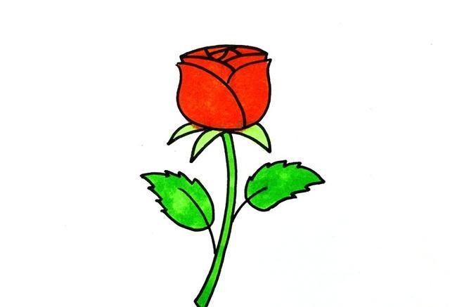 玫瑰怎么画一笔画(一朵梅花的朵的笔画)