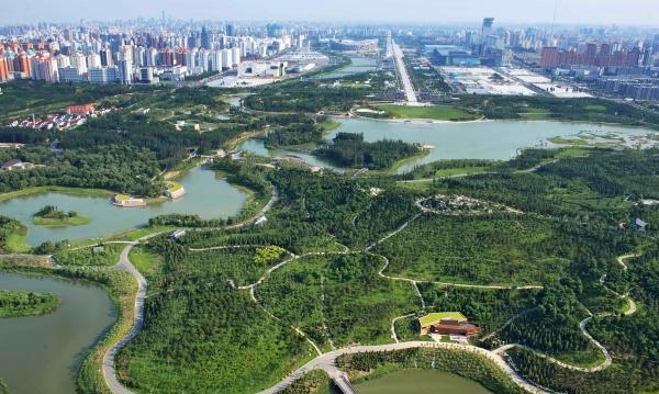 马桥森林体育公园什么时候开放(北京奥林匹克森林公园现在开放吗)