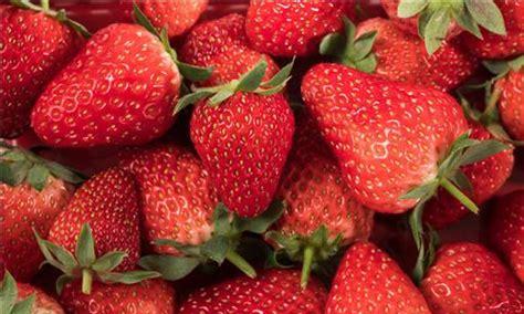 草莓有什么营养和作用(草莓的功效与作用及营养价值)