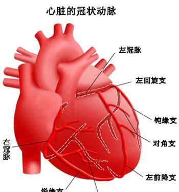 冠状动脉供血不足有什么症状(慢性冠状动脉供血不足的心电图表现是)