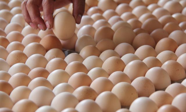 现在鸡蛋批发多少个一斤(今天全国鸡蛋批发价格是多少钱一斤)