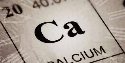 磷酸氢钙和碳酸钙哪个好(钙片成分碳酸钙好还是磷酸氢钙好)