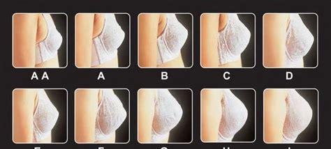 胸罩尺码怎么选择abcd哪个大(内衣尺码表从小到大abcd)